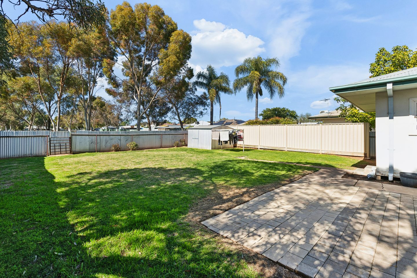 Backyard viewed from the patio